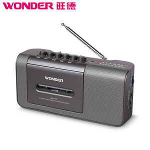 WONDER WS-R17T Radio