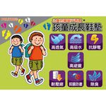金德恩 GS MALL 台灣製造 孩童成長鞋墊 除臭鞋墊 運動 鞋墊 鞋材 鞋類 孩童鞋墊 POLIYOU 抗菌 吸汗 透氣鞋墊, , large