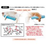 【寵愛生活本舖】PETIO寵物防褥瘡棒型微珠墊（大號）老犬介護 寵物輔助棒 派地奧, , large