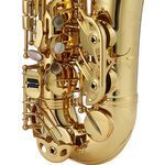 Weissenberg A-865GL Alto 中音薩克斯風 金漆塗裝款【敦煌樂器】, , large