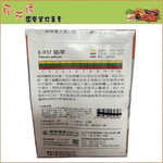 【向花緣】天星牌 貓草(貓薄荷、荊芥) - 香藥草種子, , large