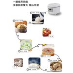 SPT Microcomputer 4-Cup Electric Cooker SC-LBF05, , large