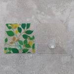 [熊好貼國際]多功能無痕掛勾  重複貼（平整光滑面適用） 免釘掛鉤 無痕免釘 壁掛 免安裝 貼片式 台灣製造國貨, , large