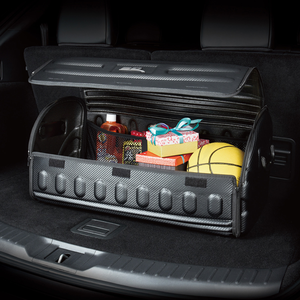CARBON HANDY TRUNK