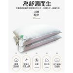 金德恩 GS MALL 台灣製造 超值二入 頂級可水洗羽絲絨枕 蓬鬆枕 透氣枕 柔軟枕 羽絲絨枕 絲絨枕 水洗 枕頭 寢具 枕頭套, , large