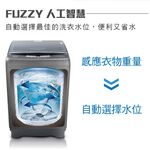 HERAN 禾聯 14kg 極光鈦 強勁系列 全自動洗衣機 HWM-1433, , large