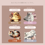 【千康購物網】MilleFée 喵星人眼影盤-03三花貓, , large