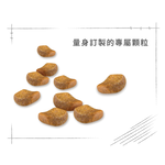 【Royal Canin法國皇家】英國短毛成貓BS34, , large