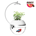 ARKY Herb&Fish X, , large