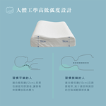 ［熊棉］自然呵護乳膠健康枕, , large
