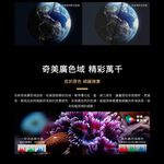 CHIMEI 奇美 75型 Google TV連網液晶顯示器 螢幕 TL-75UM10, , large