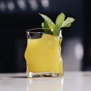 Bormioli Rocco 不規則玻璃杯 共四款 索珍德系列 玻璃杯 酒杯 威士忌杯 水杯 金益合玻璃器皿