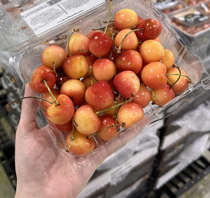 [芯鮮果]華盛頓( SkylarRae焦糖草莓白櫻桃 )