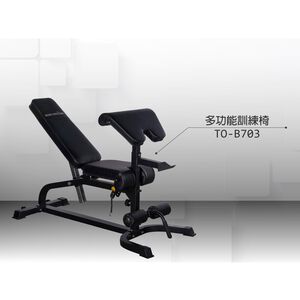 【德旺健身器材】 TO-B703 綜合訓練椅