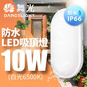 DanceLight 2-pack LED 10W waterproof capsule ceiling light (white light)