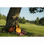 instrument, , large