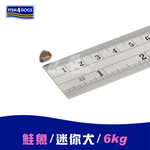 【倆寶貝精品館】海洋之星FISH4DOGS 無榖低敏挪威鮭魚(迷你犬 超小顆粒-6kg), , large