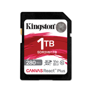 Kingston SD Card