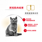 【Royal Canin法國皇家】英國短毛成貓BS34, , large