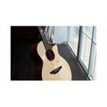 instrument, , large
