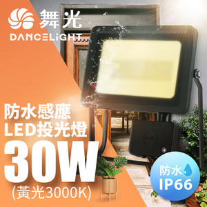 DanceLight microwave induction floodlight 30W IP66 waterproof anti-glare tempered glass (yellow light)