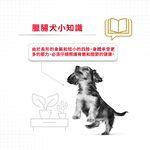Royal Canin, , large