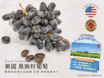 [馥果FruitGo](送限量桌曆)美國加州 黑無籽葡萄, , large