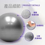 【MACMUS】瑜伽健身加厚防爆抗力球｜L磨砂65cm瑜珈球抗力球平衡球皮拉提斯球韻律球健身球大龍球重力球, , large