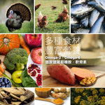 【拉拉寵物小舖】紐崔斯 貓飼料 養生無穀系列 無穀養生成貓(火雞肉+雞肉+鯡魚) 5公斤, , large