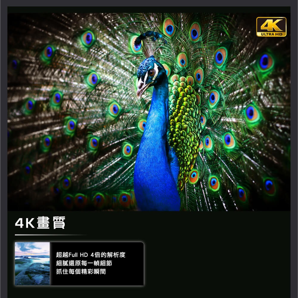 HERAN 禾聯 55吋 4K聯網 液晶電視 無視訊盒 含基本安裝 HD-55MF1, , large