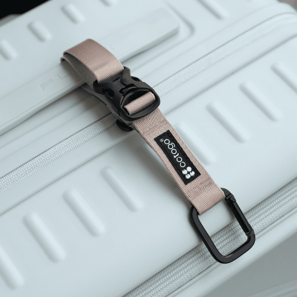 多功能掛釦 沙金, , large