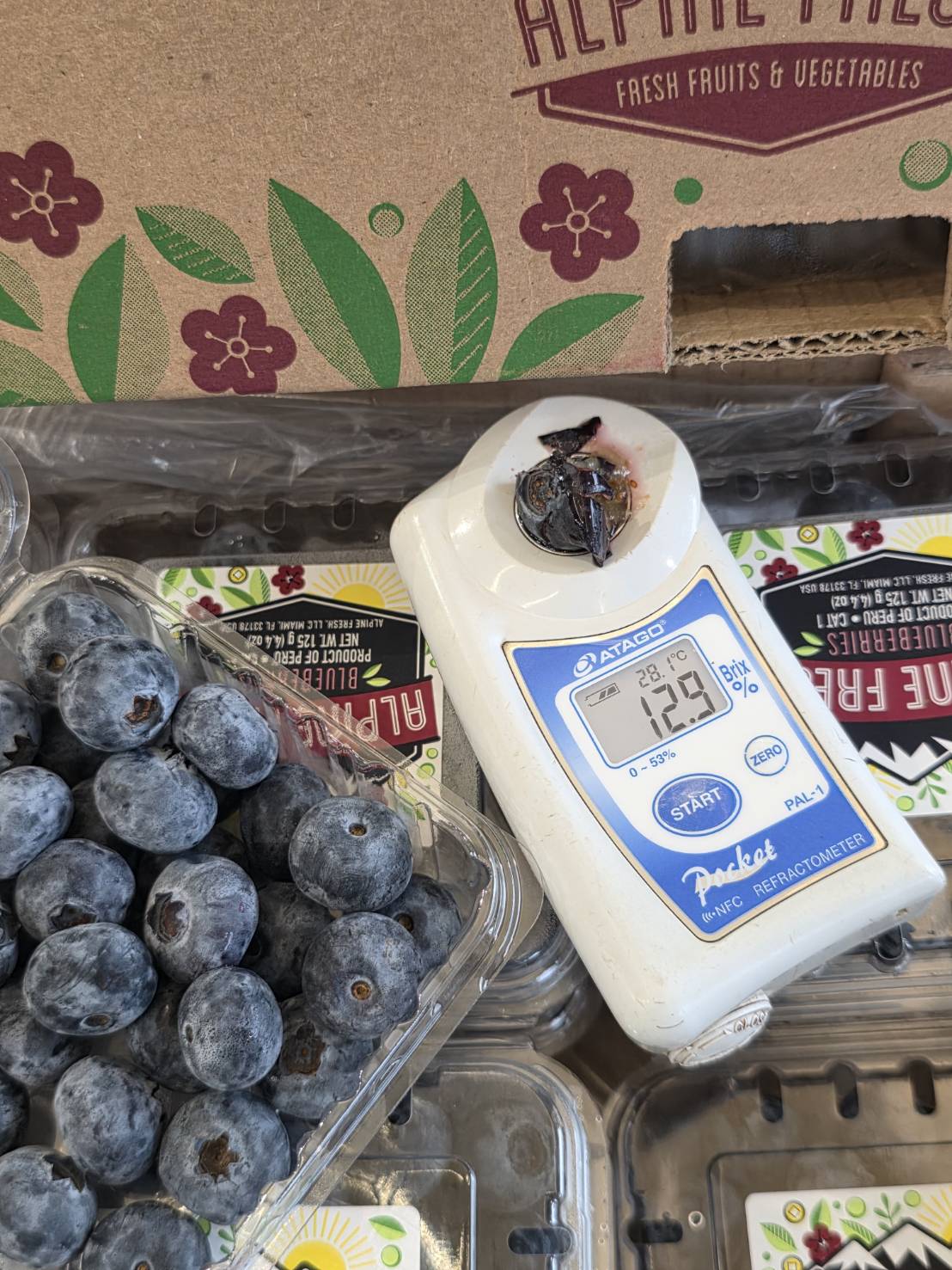 [芯鮮果]祕魯進口(  藍莓 ), , large