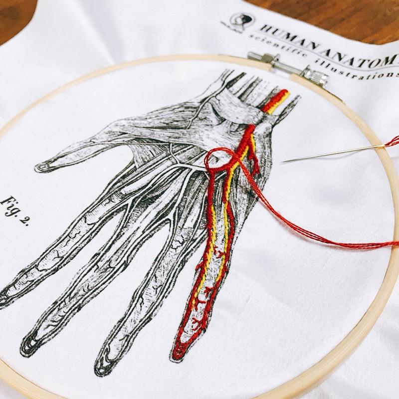 After School - DIY Blood Vessel Embroidery Kits, , large