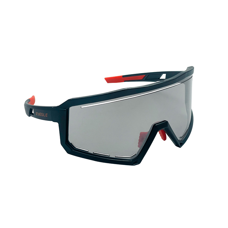 EYEGLE Viper Sunglasses EG-G009010 Grey, , large