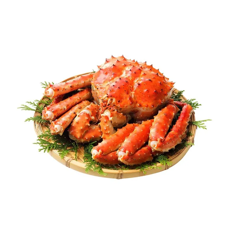 CHL King Crab, , large