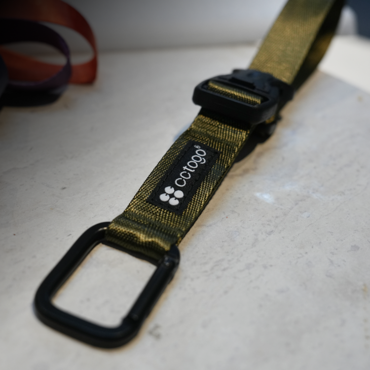 多功能掛釦 蕨綠, , large