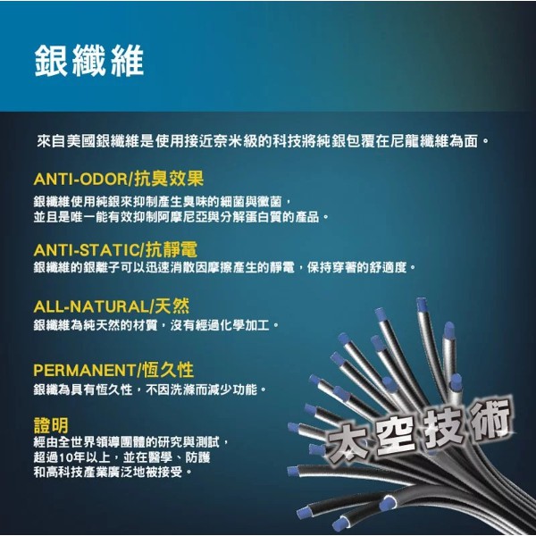 【AREXSPORT台灣製】AS-3419無痕內褲 女內褲 涼感內褲 銀纖維三角褲 無痕抑菌內褲 抑菌內褲 銀纖維內褲, , large