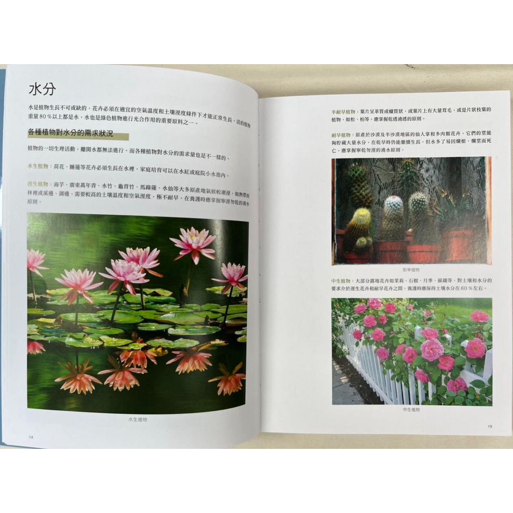 《南門書局》新手陽台種花+種菜+從菜場到餐桌, , large