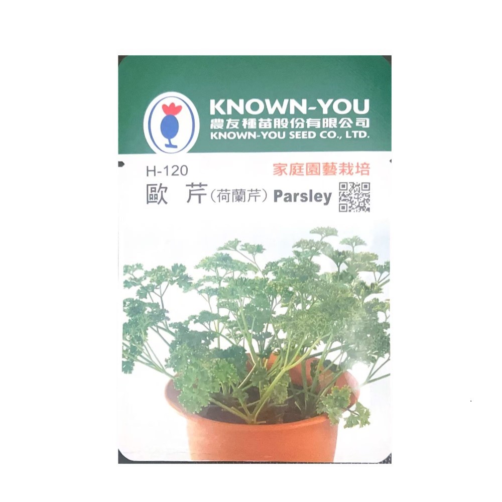 【向花緣】農友 歐芹 - 香藥草種子, , large