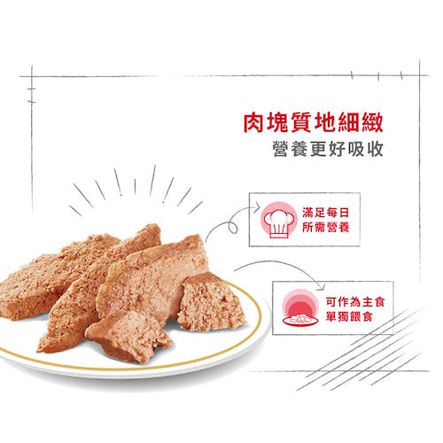 【拉拉寵物小舖】法國皇家 狗主食餐包 DSW 臘腸犬主食濕糧 狗主食濕糧, , large