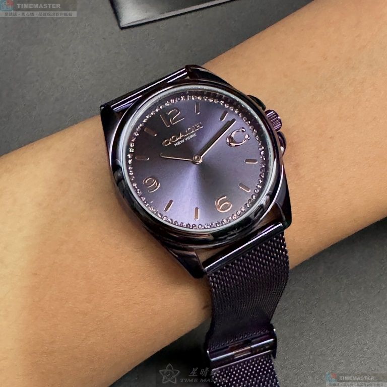 [TIMEMASTER] COACH watch, 36mm, CH00179, , large
