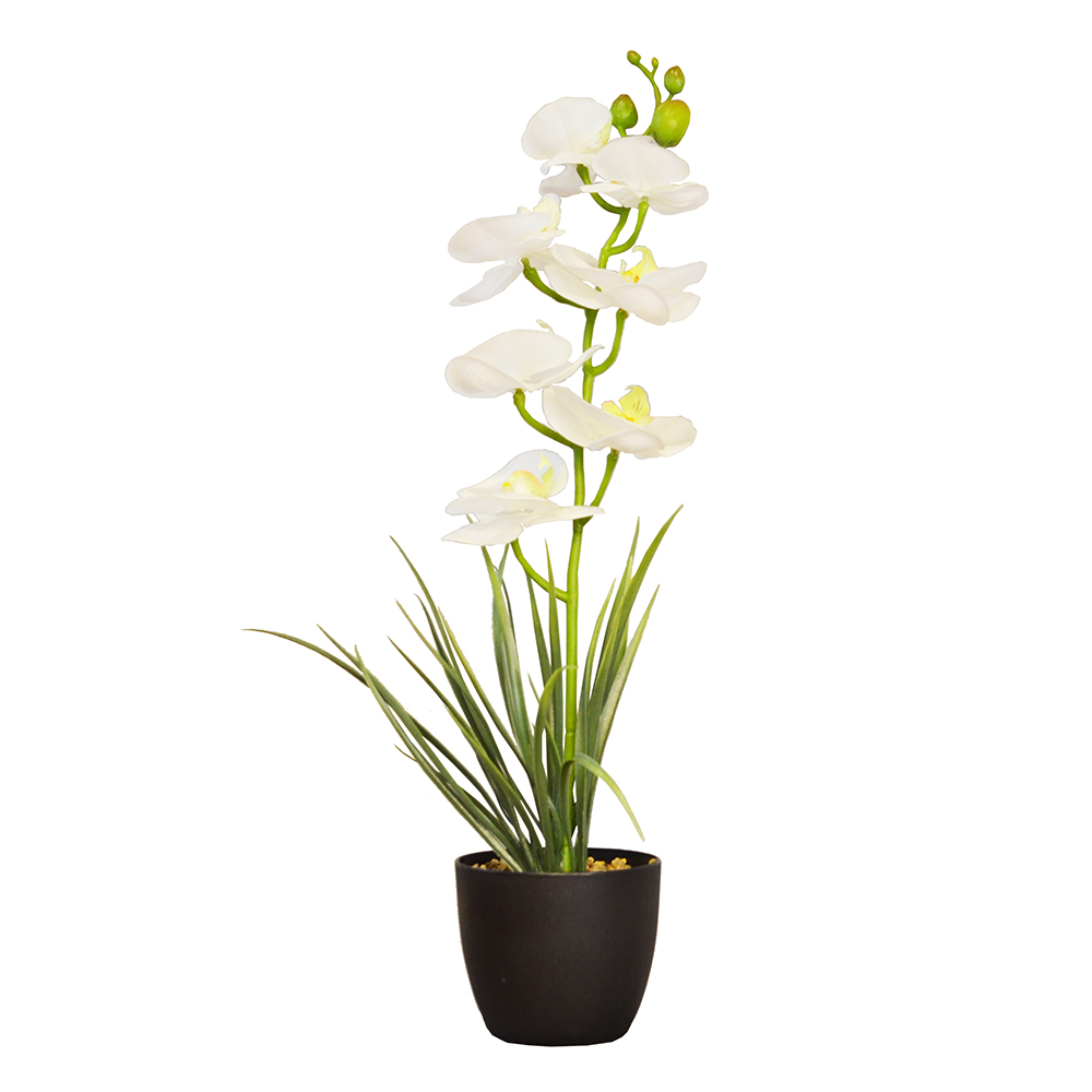 ARTIFICIAL ORCHID PLANT W/BLACK POT-WHITE, , large