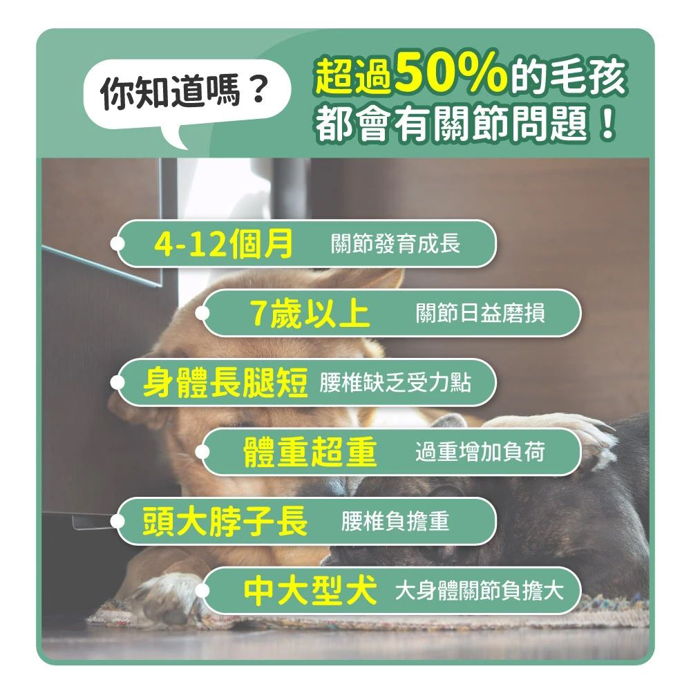 【毛孩時代】寵物關節強效保健粉 狗貓關節保健/寵物保健(2盒/60入), , large