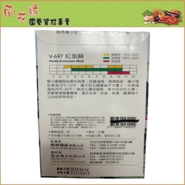【向花緣】天星牌 紅紫蘇 - 蔬菜種子, , large