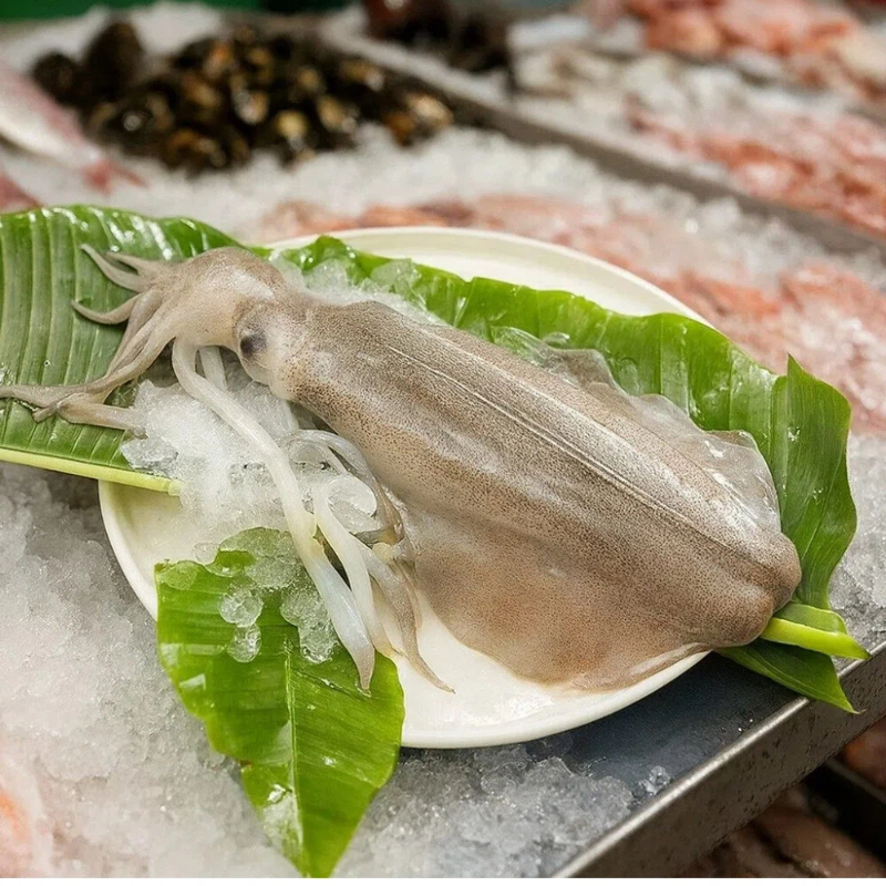 【吾家有貓-海鮮屋 】高品質野生軟絲 /鮮甜脆爽, , large