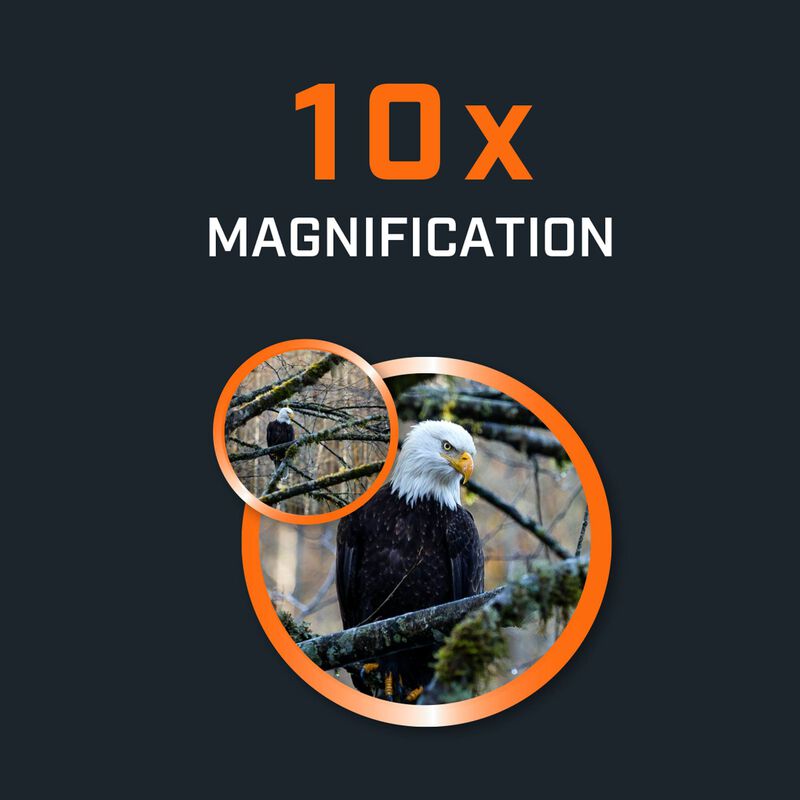 [Bushnell] H2O 10x25mm Waterproof Compact Binoculars 130105R, , large