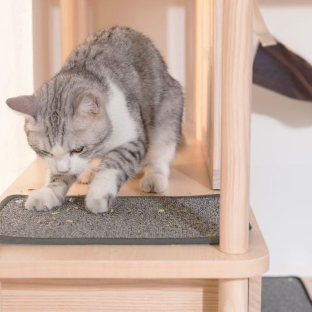 【paipaipets】Cat Scratching Cloth (2/set)(For Cat Tree), , large