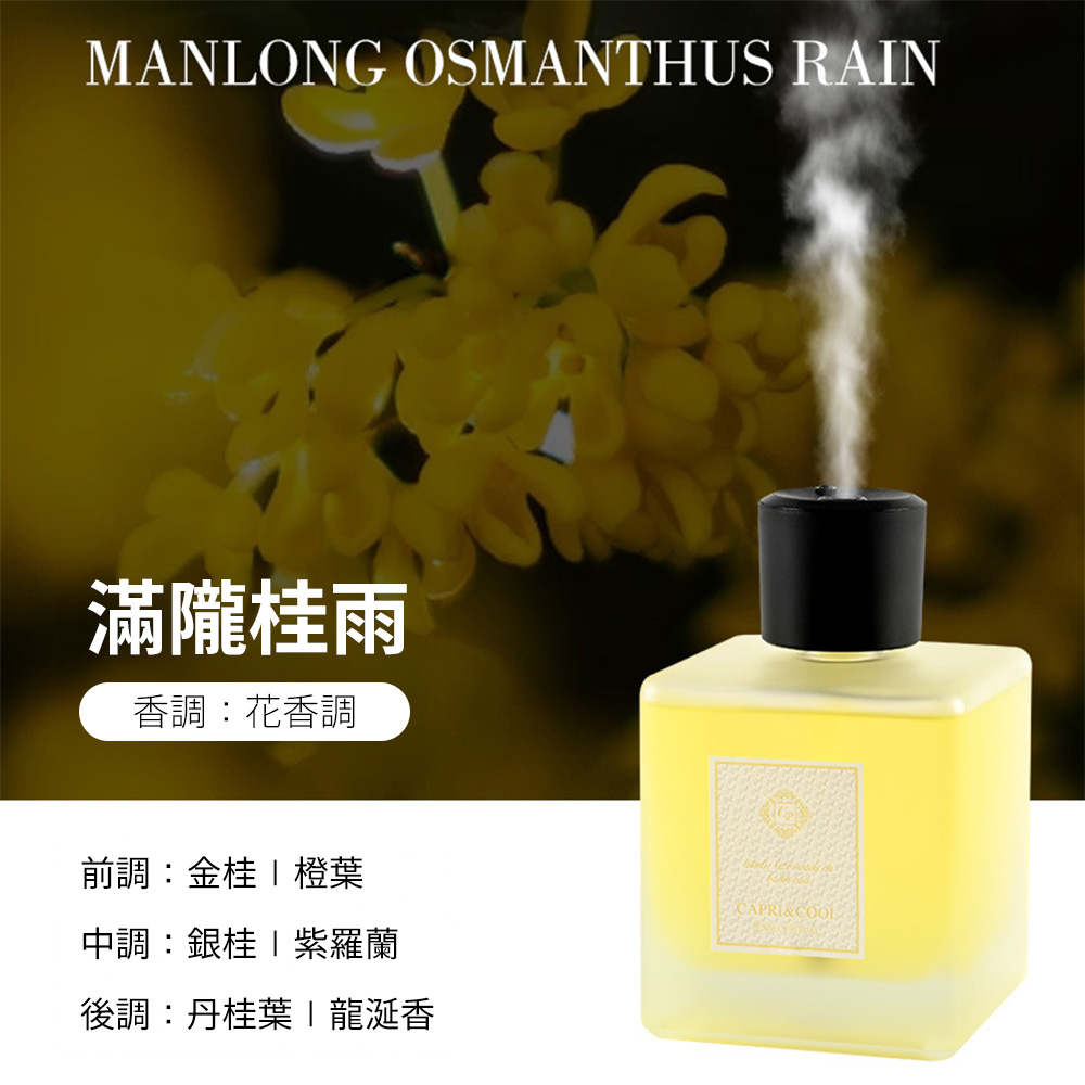 Home Fragrance Diffuser, , large