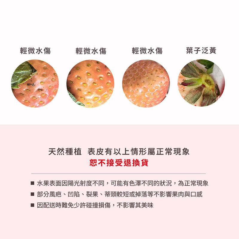  JP Kumamoto Awayuki , , large