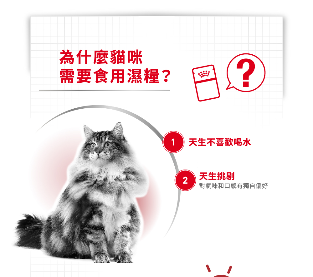 【拉拉寵物小舖】法國皇家 貓主食餐包 F32W 理想體態貓主食濕糧 貓主食濕糧, , large